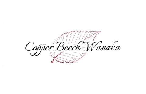Copper Beech Wanaka - Luxury Apartments - Tourism Bookings NZ 9