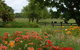 Jacaranda Lodge - thumb 1