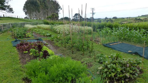 A Bountiful Life - Tourism Bookings NZ 7