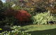 Ashcroft Gardens Bed And Breakfast - thumb 7