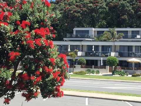 Beachpoint Apartments - Tourism Bookings NZ 7