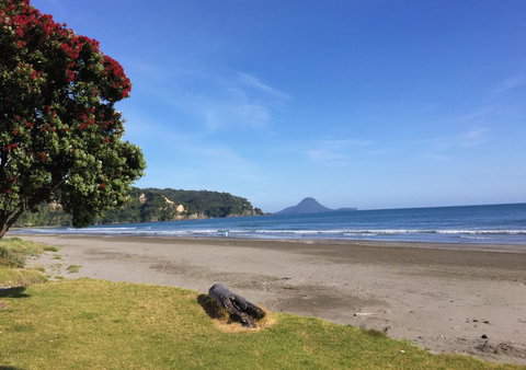 Beachpoint Apartments - Tourism Bookings NZ 14