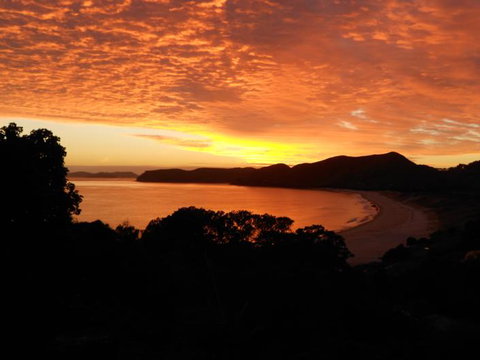 Otama Beach Hideaway - Tourism Bookings NZ 2