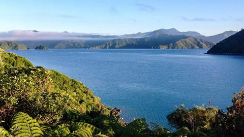 Whatamonga Home Stay Ltd - Tourism Bookings NZ 1