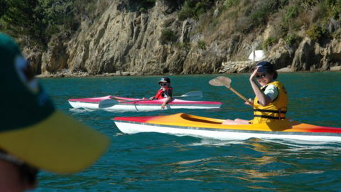 Whatamonga Home Stay Ltd - Tourism Bookings NZ 2