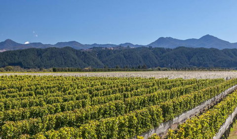 Straw Lodge - Tourism Bookings NZ 8