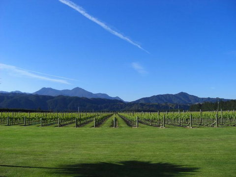 Straw Lodge - Tourism Bookings NZ 13