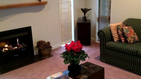 40 Thornycroft St Bed & Breakfast - Tourism Bookings NZ 1