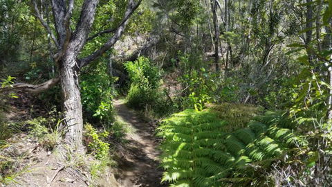 Kaeppeli's Bed & Breakfast - Tourism Bookings NZ 1