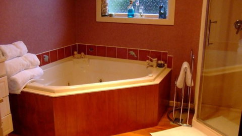 Serendipity Homestay - Tourism Bookings NZ 5