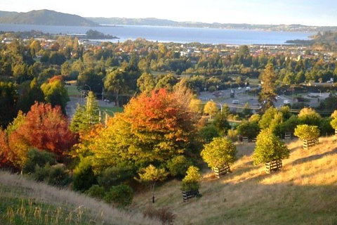 Serendipity Homestay - Tourism Bookings NZ 8