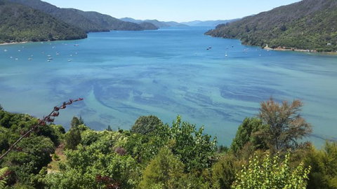 Okiwa Bay Lodge - Tourism Bookings NZ 3