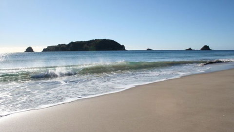 Hahei Horizon Bed & Breakfast - Tourism Bookings NZ 8