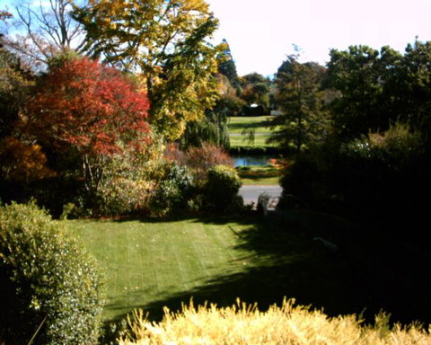 Pool House B&B - Tourism Bookings NZ 3