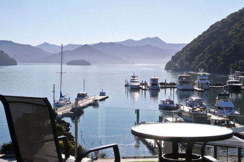 Picton Waterfront Luxury Apartments - Tourism Bookings NZ 5