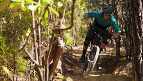 Experience Kaiteriteri - Tourism Bookings NZ 8