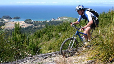 Experience Kaiteriteri - Tourism Bookings NZ 9