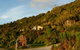 Hydrangea Cottages Punakaiki - thumb 1