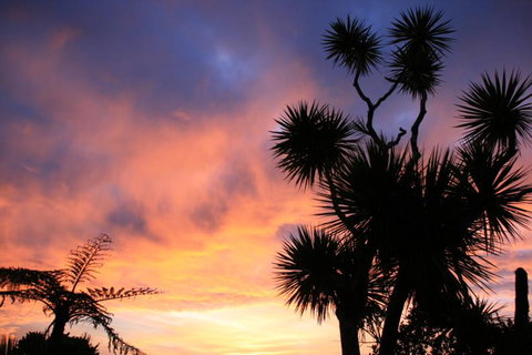 Hydrangea Cottages Punakaiki - Tourism Bookings NZ 15