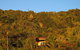 Hydrangea Cottages Punakaiki - thumb 19