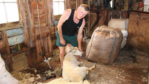 Maungakawa Views New Zealand Farmstays - Tourism Bookings NZ 5