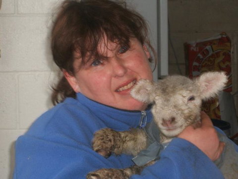 Maungakawa Views New Zealand Farmstays - Tourism Bookings NZ 8