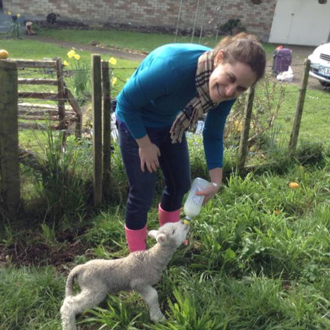 Maungakawa Views New Zealand Farmstays - Tourism Bookings NZ 10