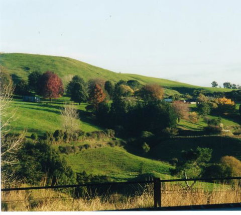 Maungakawa Views New Zealand Farmstays - Tourism Bookings NZ 13