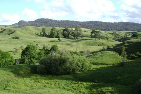Maungakawa Views New Zealand Farmstays - Tourism Bookings NZ 19