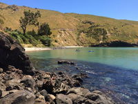 Te Pohue Farm Stay Trails