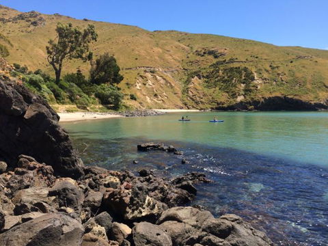 Te Pohue Farm Stay Trails - Tourism Bookings NZ 0