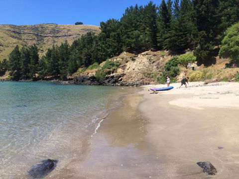 Te Pohue Farm Stay Trails - Tourism Bookings NZ 2