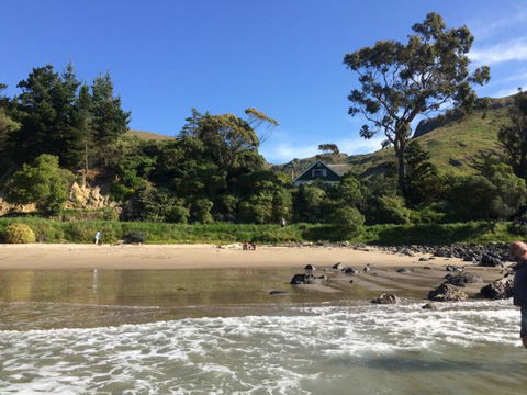 Te Pohue Farm Stay Trails - Tourism Bookings NZ 3