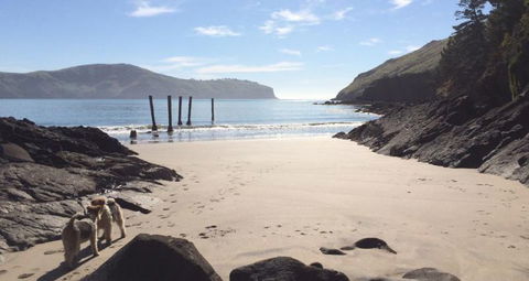 Te Pohue Farm Stay Trails - Tourism Bookings NZ 4