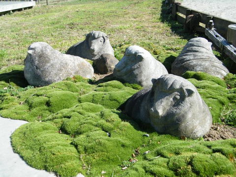 The Woolshed, Cassie's Farm - Tourism Bookings NZ 7