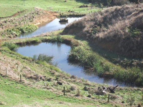 The Woolshed, Cassie's Farm - Tourism Bookings NZ 12