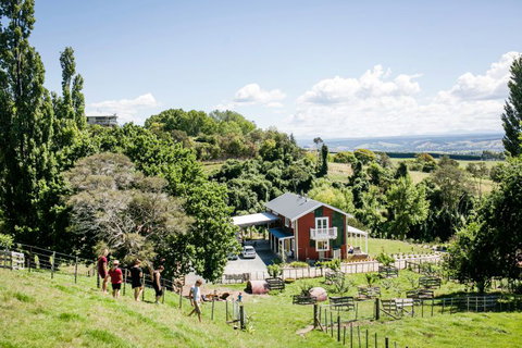 The Pear Orchard Lodge - Tourism Bookings NZ 3