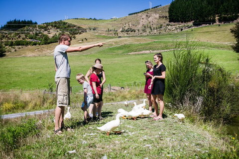 The Pear Orchard Lodge - Tourism Bookings NZ 22