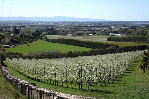 The Pear Orchard Lodge - Tourism Bookings NZ 26