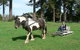 The Carriage House - Bay Of Islands - thumb 1
