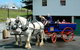 The Carriage House - Bay Of Islands - thumb 3