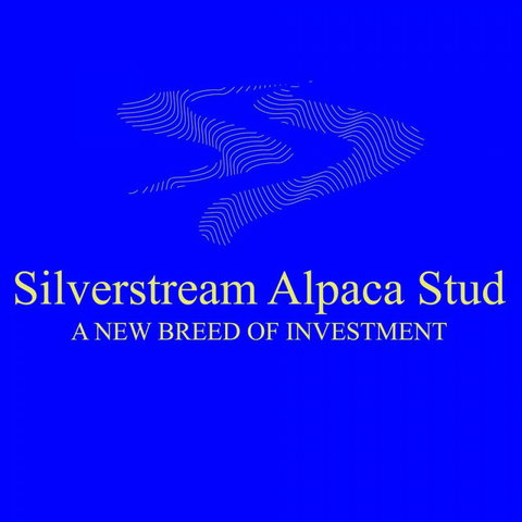 Silverstream Alpaca Farmstay - Tourism Bookings NZ 1