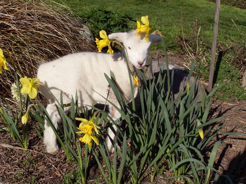 Kingfisher House - Tourism Bookings NZ 10