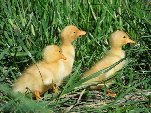 Kingfisher House - Tourism Bookings NZ 12