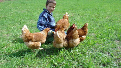 Kingfisher House - Tourism Bookings NZ 15