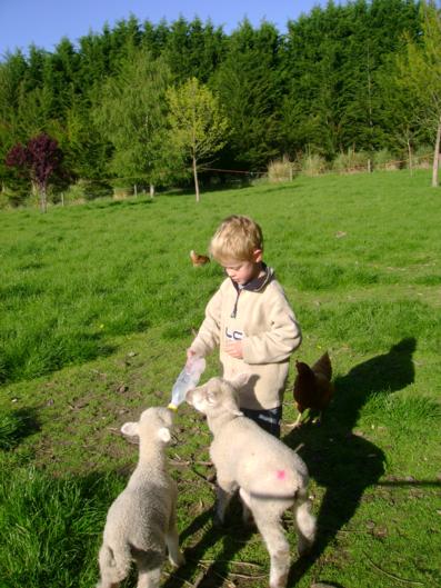 Kingfisher House - Tourism Bookings NZ 16