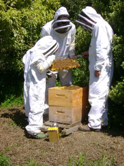 Kingfisher House - Tourism Bookings NZ 17