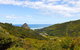 Sea Of Green Lookout - Piha Holiday Home - thumb 3