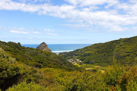 Sea Of Green Lookout - Piha Holiday Home - Tourism Bookings NZ 3