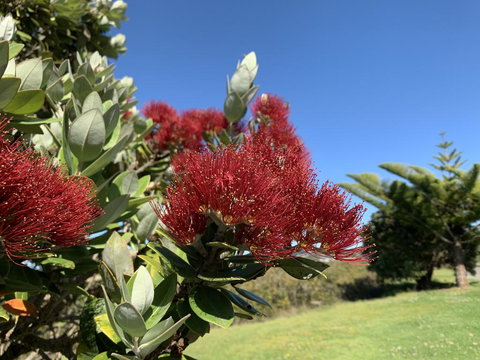 Silverdale Green Valley Holiday House - Tourism Bookings NZ 1